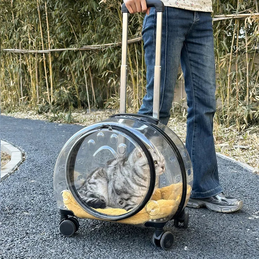 Transparent Pet Travel Carrier Portable Trolley Suitcase for Cats & Small Dogs Durable Pet Transport Case Professional Pet Cart - Play Paws Toys