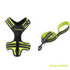 True Love Pet No Pull Adjustable Dog Harness and Leash Set for Medium & Large Dogs TLL5551 TLL2112
