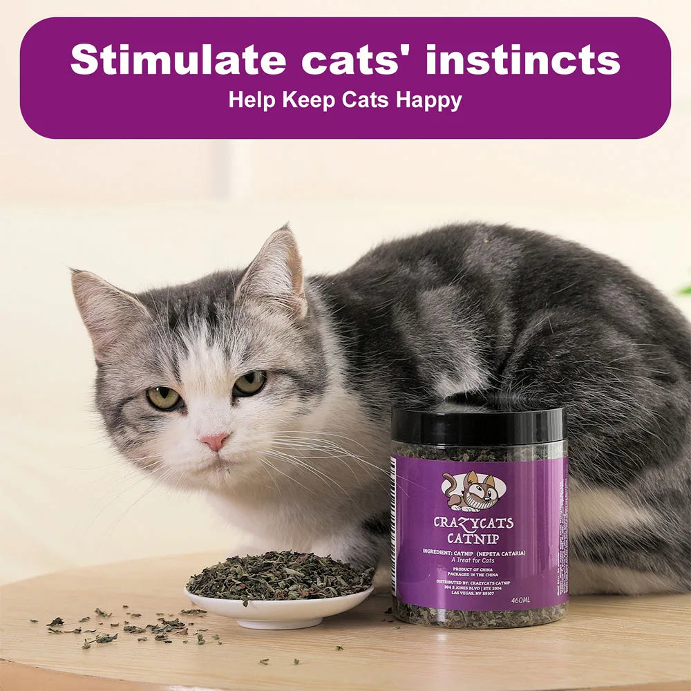Organic 100% Natural High Quality Catnip Cattle Grass Mint Taste Funny Cat Toy New Cat Toy Interactive Cat Toys Pet Supplies