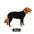 Big Dog Pajamas Stretch Pet Jumpsuit Winter Pet Clothes Warm Tight-fitting Dog Cloth Medium and Large Dog Suit Labrador Doberman