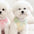 Summer Clothes for Dogs Puppy Shirt Blouse Spring Pets Clothing Dog Doggy Pet Shirts Apparel Supplies