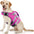Ensure Your Dog's Water Adventures are Safe and Stylish: Premium Waterproof Dog Life Jacket with Reflective Stripes, Extra Stick