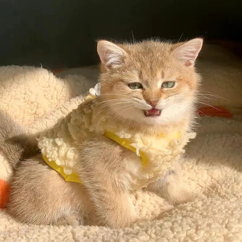 Newborn Cat Kitten Velvet Clothing Winter Warm Little Pet Sweater for Small Animals Bunny Pullovers Clothes Teacup Poodle XXXS - Play Paws Toys
