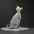 Sphynx Cat Clothes Cotton Hairless Cat Vest Baby 100% Cotton Soft Summer Sleeveless Thin Vest Cat Clothes for Devon, Cornish