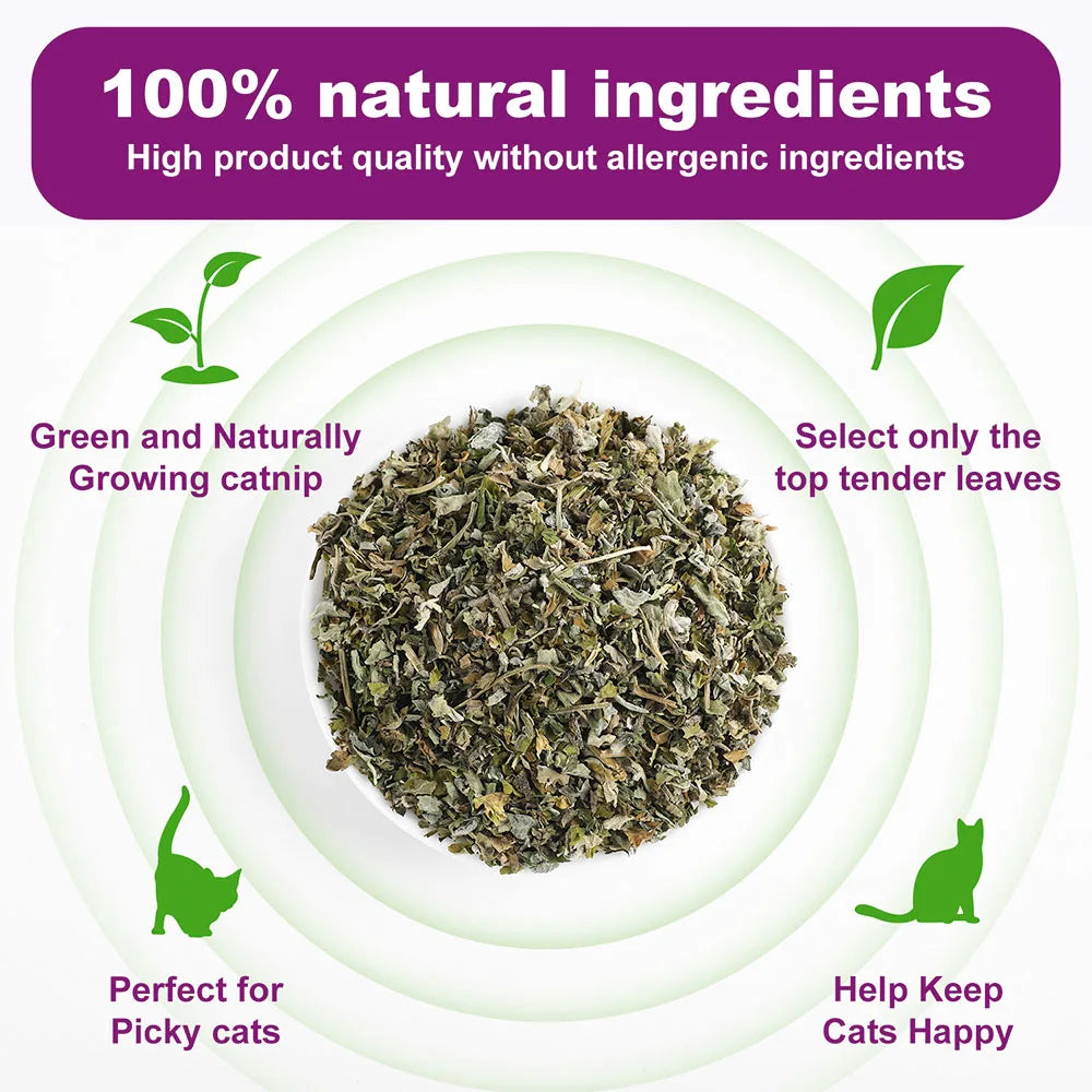 Organic 100% Natural High Quality Catnip Cattle Grass Mint Taste Funny Cat Toy New Cat Toy Interactive Cat Toys Pet Supplies