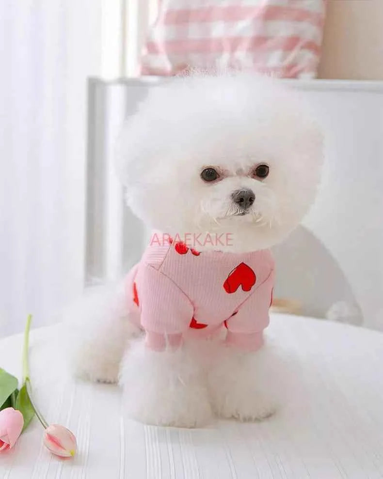 Printed mosquito proof hoodie for small dogs, summer thin clothing for pets, small puppies, spring and summer styles