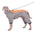 Waterproof Pet Dog Winter Jumpsuit Warm Medium Large Dogs Winter Jacket Clothes Labrador Bulldog Golden Retriever Costumes
