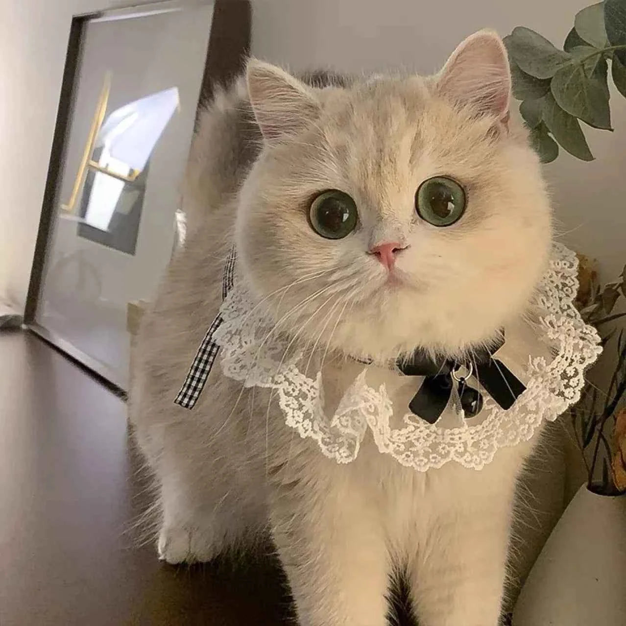 Cute Lace Bow Pet Collar Cat Dog Drool Towel Summer Thin Pet Pendant Necklace with Cat Strap Accessories