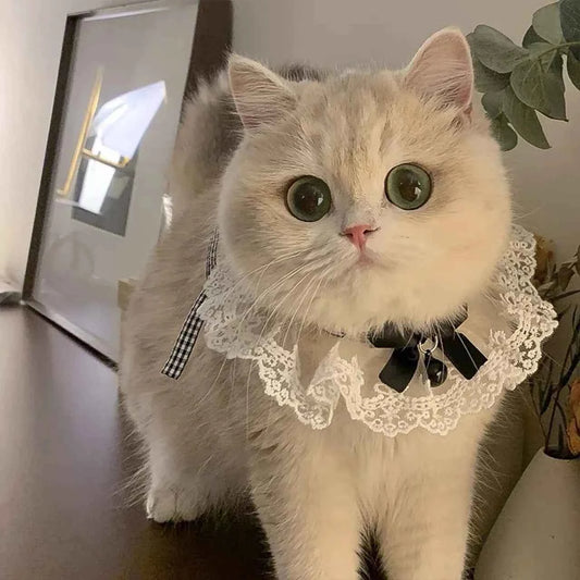 Cute Lace Bow Pet Collar Cat Dog Drool Towel Summer Thin Pet Pendant Necklace with Cat Strap Accessories