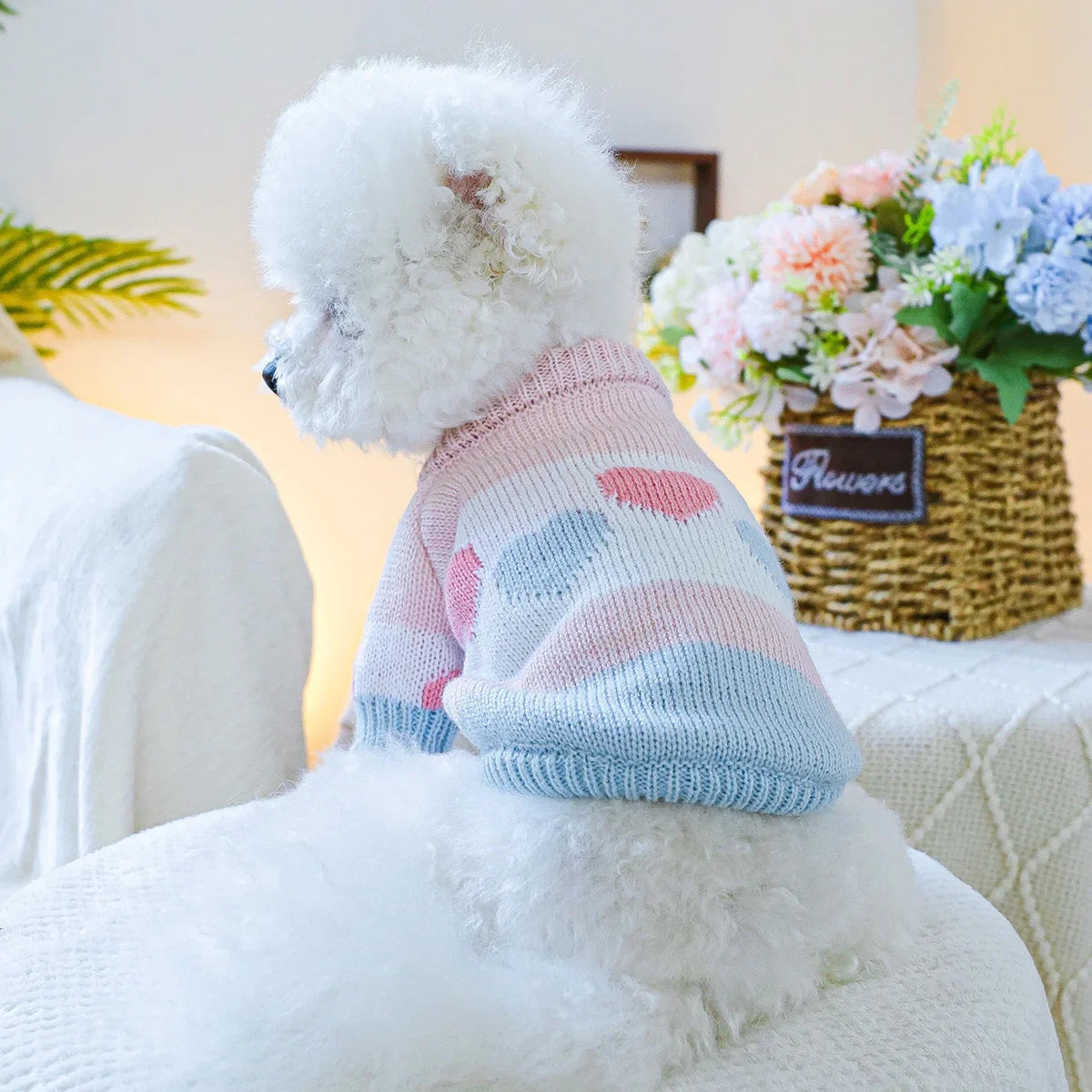 1PC Pet Clothing Spring and Autumn Dog Hoodie Elastic Blue Pink Love Jacquard Sweater Suitable for Small and Medium sized Dogs