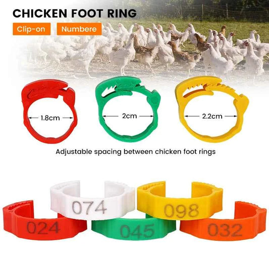 10-50PCS High-quality Chicken Foot Ring 5 Colors Numbered Identification Leg Rings Clip For Poultry Chickens Ducks Geese Parrot