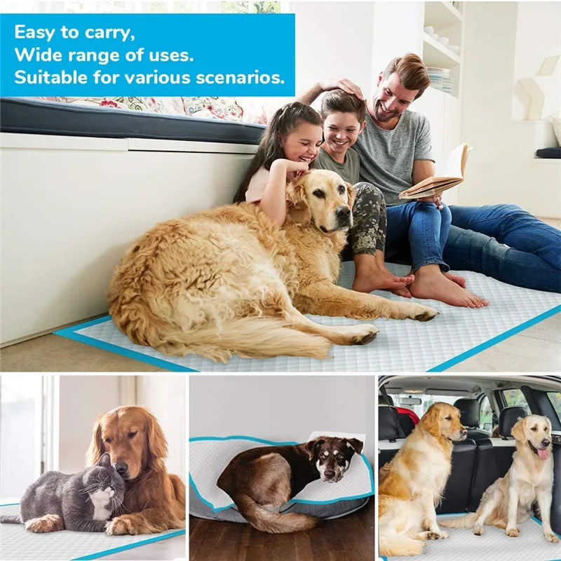 Diapers For Dogs Pet Disposable Nappy Mat Dog Diapers Absorbent Disposable Diapers Absorbent Pet Toilet Cat Disposable Nappy Mat