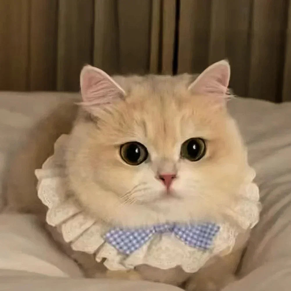 Cute Dog Collar Lace Bowknot Pearl Cat Necklace Sweet Neck Decoration Elegant Gentle Puppy Necktie Kitten Bibs Pet Supplies