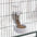 Automatic Pet Feeder Cage Hanging Bowl Water Bottle Food Container Dispenser For Puppy Cats Rabbit Birds Pet Feeding Product