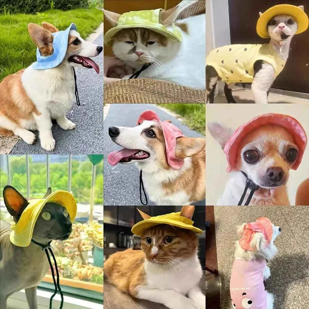 Pets Hat with Ear Holes Adjustable Baseball Cap for Medium Small Dogs Summer Dye Cats Sun Cap Pet Outdoor Hat Pet Supplies