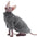 Hairless Cat Clothes Winter Camouflage Warm Arctic Velvet Sphynx Cat Coat Devon Clothes Konis Cat - Play Paws Toys