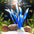 Artificial Aquarium Plants Decoration Fish Tank Water Plant Grass Ornament Plastic Underwater Aquatic Water Weeds Viewing Decor