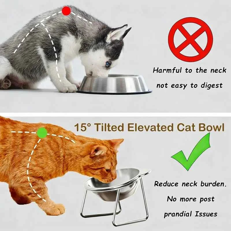 Cat Bowls Tilted Neck Guard Cat Food Bowl Indoor Stainless Steel Shatter Resistant Elevated 15° Pet Bowl For Kitten Puppy