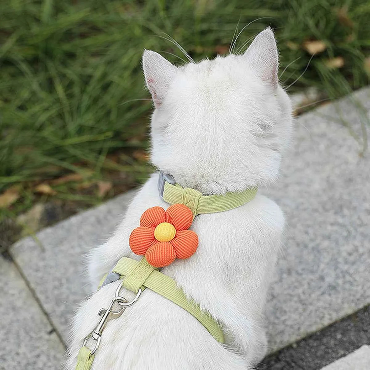 Cat Harness and Leash Sets Adjustable Dog Harness for Small Dog Leash Breashable Pet Harness Out Walking Dog Strap