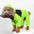 Pet Dog Raincoat The Dog Face Pet Clothes Jumpsuit Waterproof Dog Jacket Dogs Water Resistant Clothes for Dogs Pet Coat