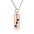 Pet Paws Ashes Jewelry Cremation Urn Memorial Pendant Necklace Aluminum Alloy Cylinder Ashes Jewelry for Ashes Women Men