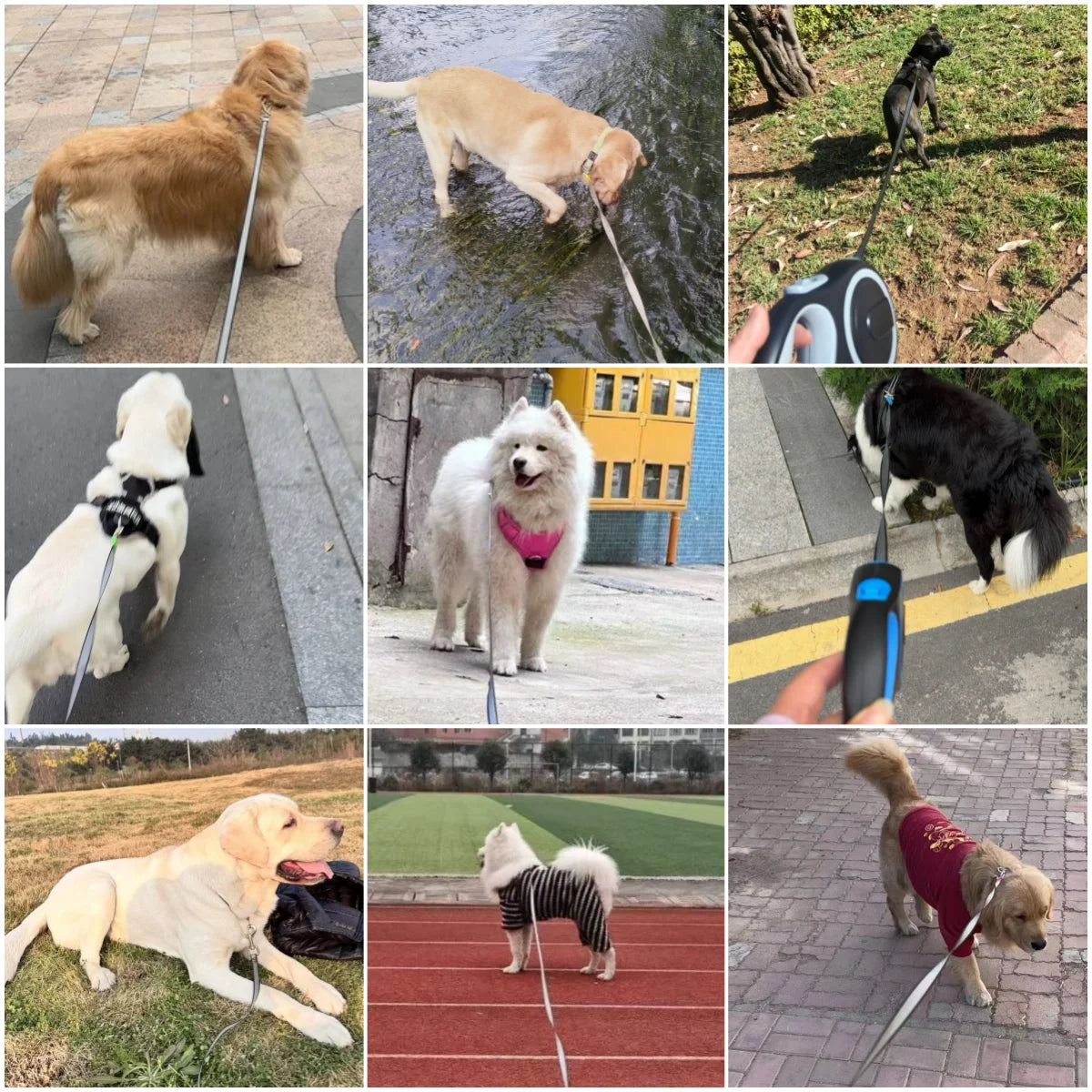 8/5m Dog Leash Strong Nylon Pets Traction Rope Extending Automatic Retractable 50kg Big Dogs Lead Walking Labrador Accessories
