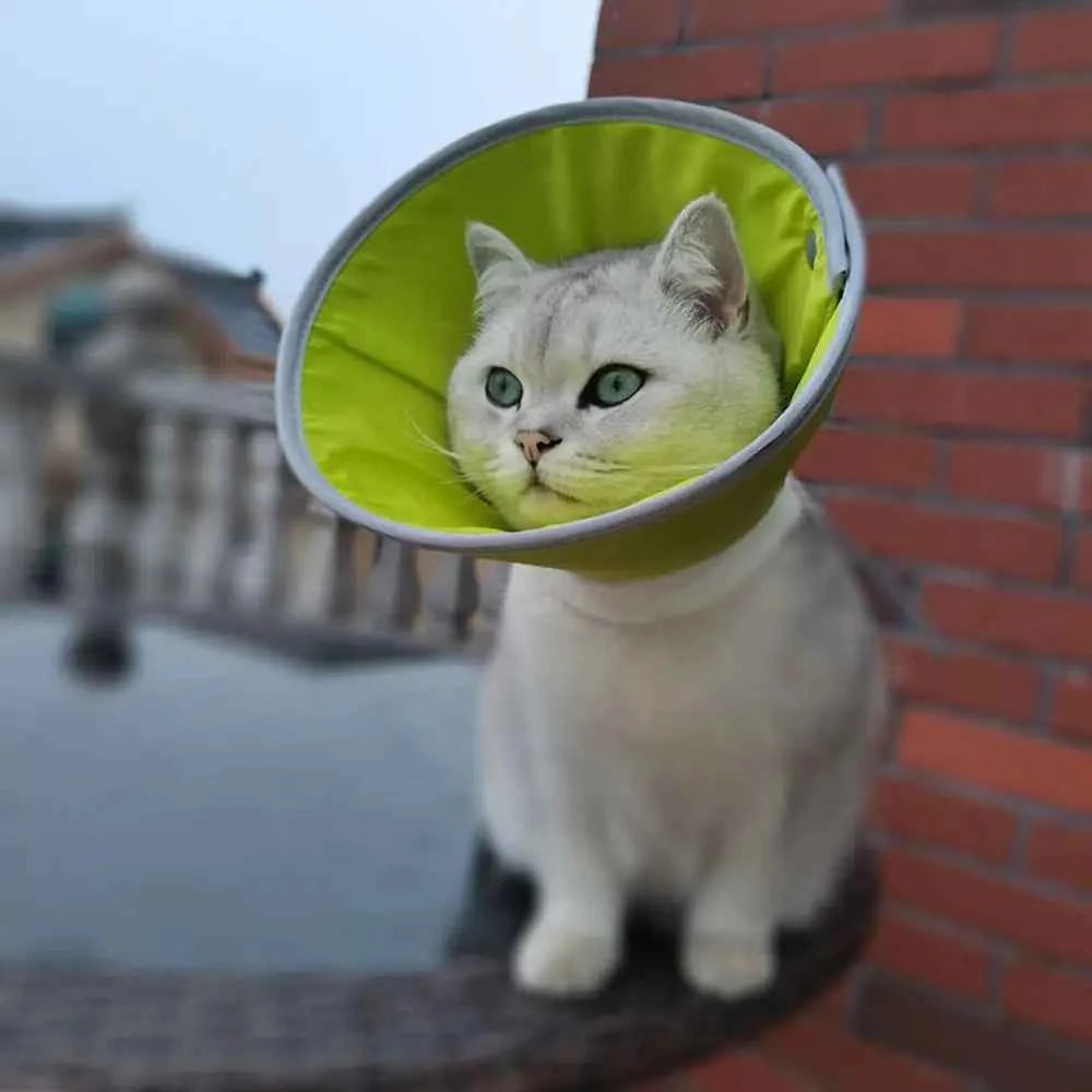 Adjustable Cat Cone Collar Lightweight Anti-bite Elizabethan Collars Breathable Easy To Eat and Drink Pet Protective Cover