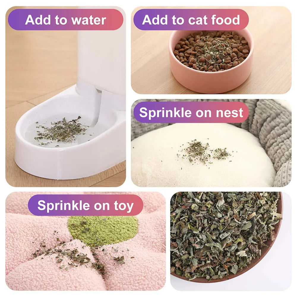 Organic 100% Natural High Quality Catnip Cattle Grass Mint Taste Funny Cat Toy New Cat Toy Interactive Cat Toys Pet Supplies