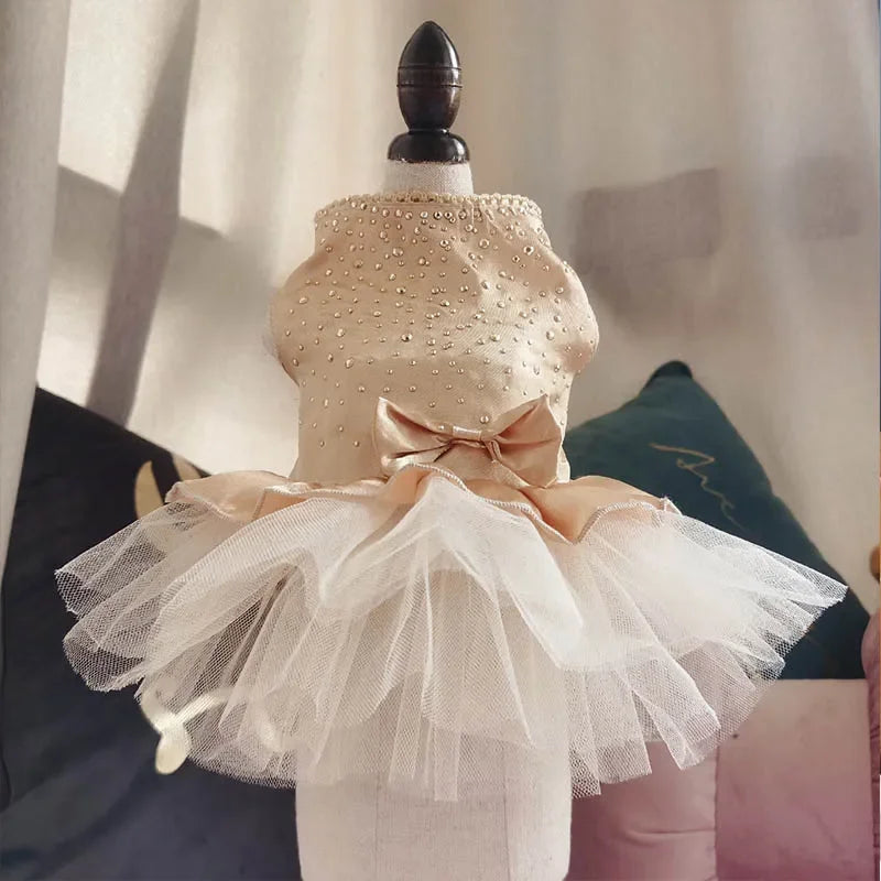 Dog Summer Dress Cat Lace Skirt Pet Clothing Chihuahua Tulle Skirt Puppy Cat Princess Apparel Cute Puppy Clothes Dog Accessories