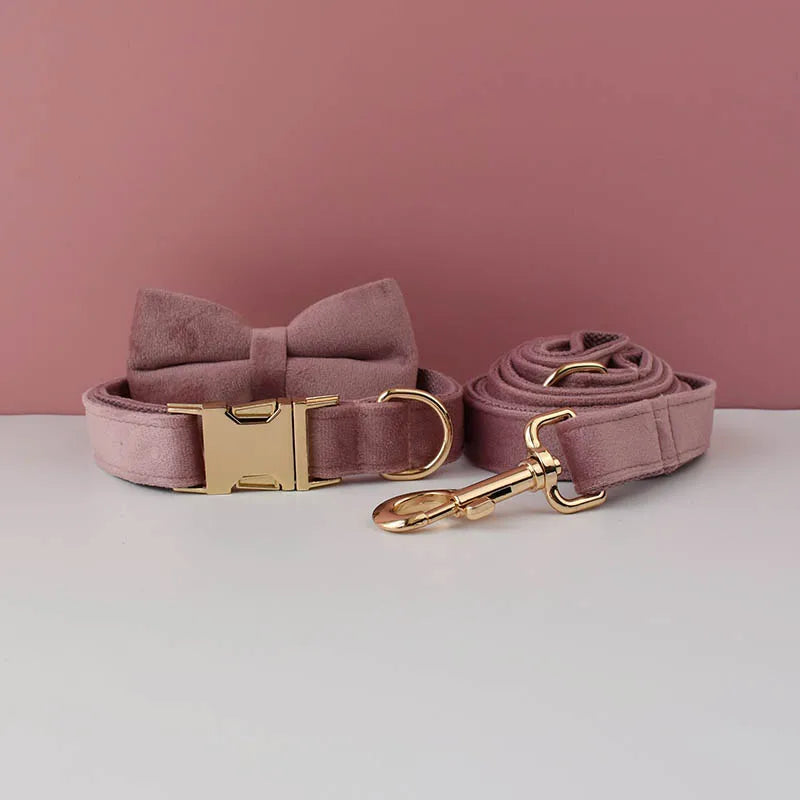 Velvet Collar Free Engrave Dog Collar Leash For Medium Big Pet Necklace Dog Accessories Dog Collars