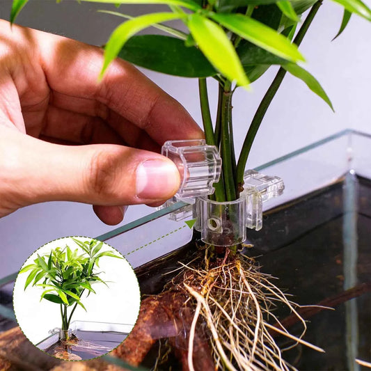 Mini Fish Tank Planter Pot 6Pcs Aquarium Plant Holder Support Cup Aquarium Feeder For Fish Tank Home Grow Planting Cultivation