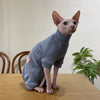 Fleece Coat for Sphynx Cat Warm Sweatshirt 4-legged Jumpsuit for Kittens Dogs soft Loungewear for Male Cat Devon Rex Sweater - Play Paws Toys