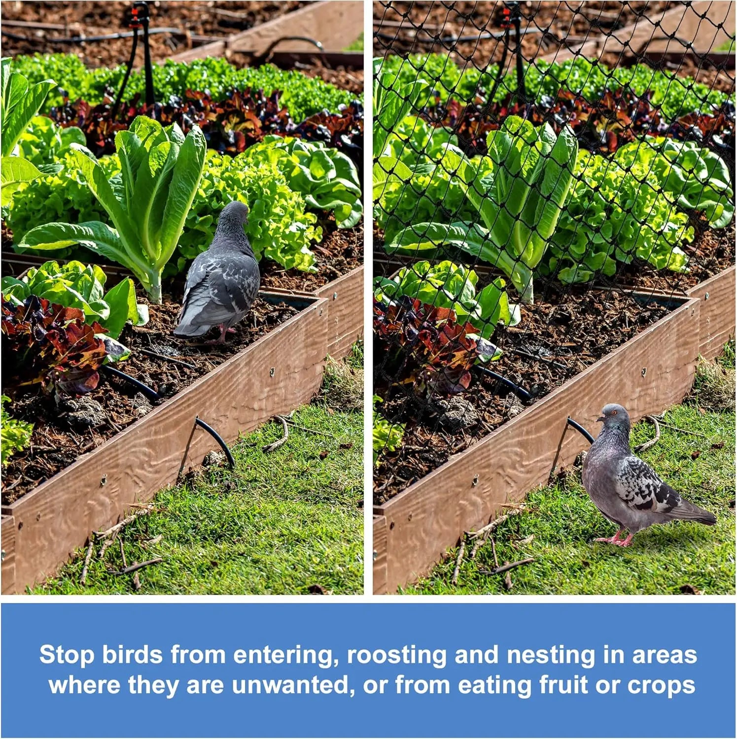 Steel Wire Reinforced Cat Netting for Balcony,Cat Anti-Fall Net,Garden Net Anti Bird Netting with Wire for Windows,Stair Lawn - Play Paws Toys