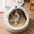 Deep Sleep Cat Bed Cartoon Pet Bed Foldable Removable Washable Pet Sleeping Bed for Small Dog Mat Bag Cave Cats Bed - Play Paws Toys