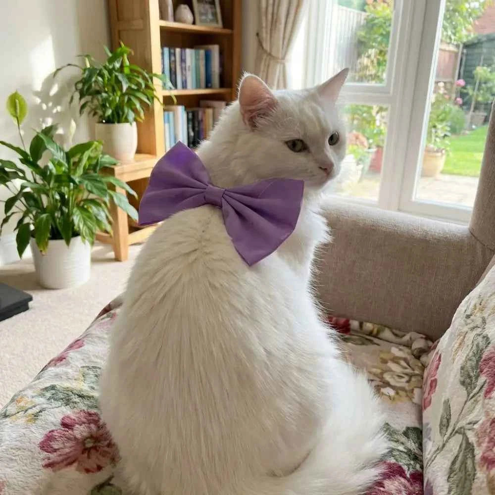 Fashion Adjustable Cat Bow Headwear Formal Decorative Pet Necklace Elegant Decorative Bowtie Wedding Party