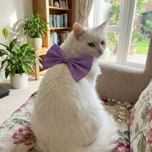 Fashion Adjustable Cat Bow Headwear Formal Decorative Pet Necklace Elegant Decorative Bowtie Wedding Party