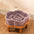 Ceramic Slow Food Bowl Anti-choking Cat Feeding Basin To Prevent Black Chin Small Dog Cat Neck Guard Wooden Frame Slow Food Bowl
