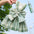 Reusable with Leash Traction Dog Plaid JK Dress Thin Dacron Pet Harness Skirt Adjustable Washable Dog Bow Skirt Rabbit