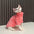 Fashionable Clothes For Cats Sphynx Cat Sweater Kitten Clothing Hound Dog Hoodie Clothes For Sphinx Cat Outfit Pet Jumpsuits - Play Paws Toys