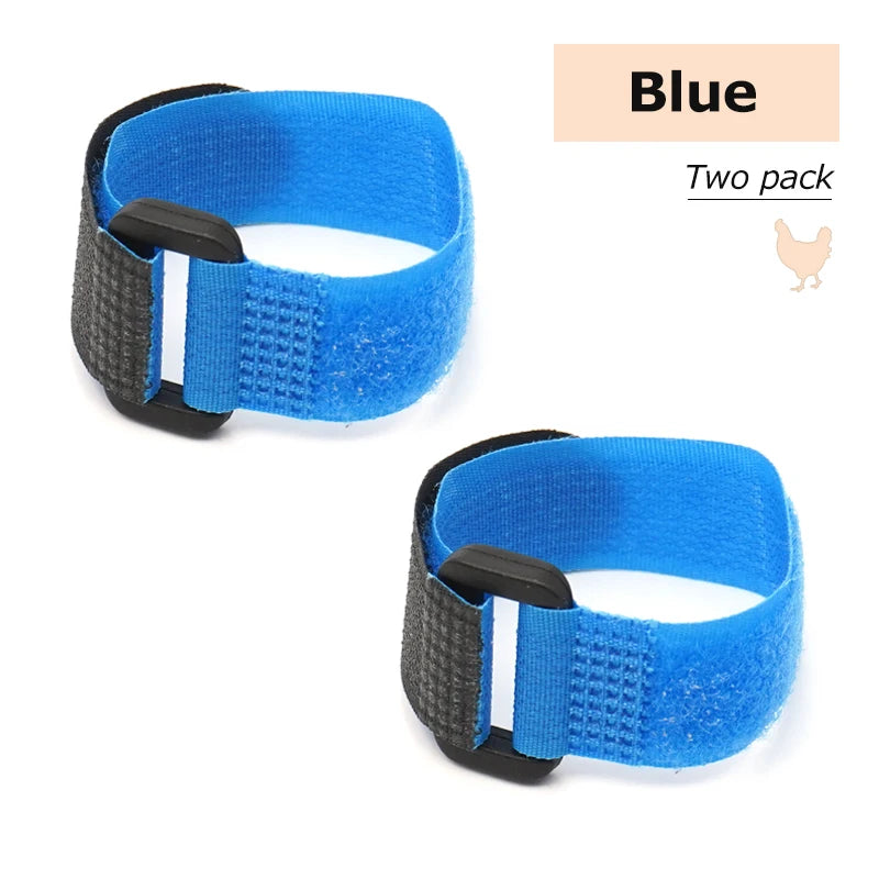 2Pcs No Crow Rooster Collar Chicken Collar Noise Free Anti-Hook Neckband Poultry Collars Supplies