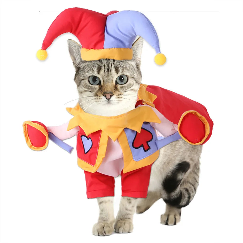 Pet Transformation Costumes, Funny Christmas Outfits for Cats, Dog Clothes, Novelty Halloween Costumes for Pets