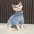 Fashionable Clothes For Cats Sphynx Cat Sweater Kitten Clothing Hound Dog Hoodie Clothes For Sphinx Cat Outfit Pet Jumpsuits - Play Paws Toys