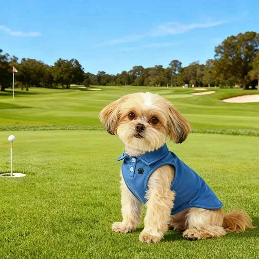 Pet Dog Polo Shirt Casual Solid Color Sports Vest Breathable Summer Clothes for Small Medium Dogs Tennis Golf Outfit