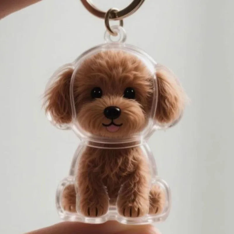Dog Cat Hair Storage Pendant Keychain Box Couple Car Key Chains Jewelry Souvenir Pet Lover Keepsake Memorial Keychain Gift Decor