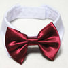 Comfortable Tuxedo Bowtie Pet Accessories Dog Necktie Bow Tie Collar Formal Tie Pet Bow Tie