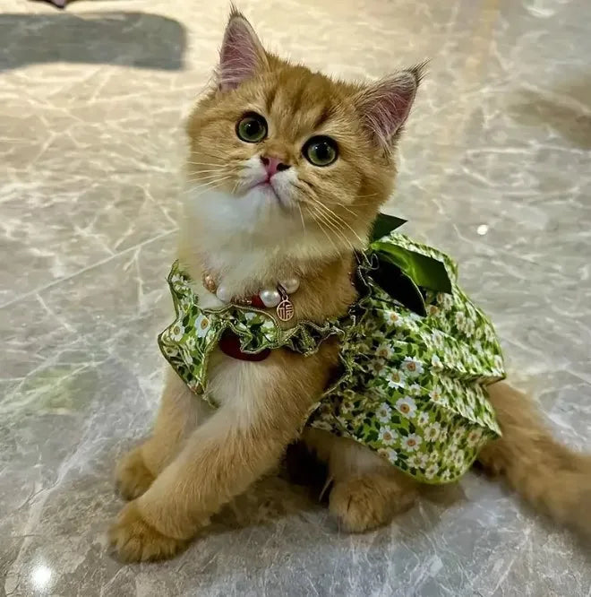 1 Pc Pet Dress Dog&Cat Summer Dress  Yomantic Floral Pattern Suitable For Birthday Wedding Party Outfits