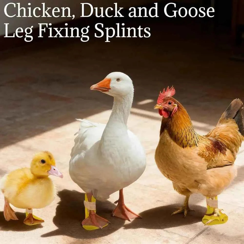 4pcs Professional Adjustable Chicken Leg Splint Reusable Ightweight Duck Leg Splint Durablel Poultry Leg Brace Poultry Care