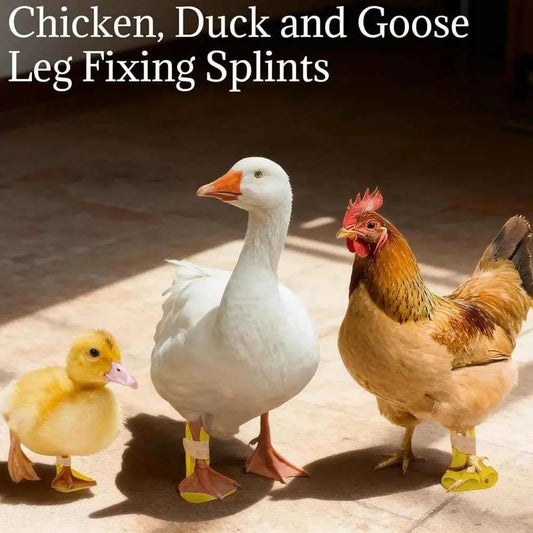 4pcs Professional Adjustable Chicken Leg Splint Reusable Ightweight Duck Leg Splint Durablel Poultry Leg Brace Poultry Care