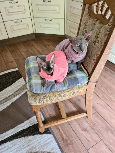 Fashionable Clothes For Cats Sphynx Cat Sweater Kitten Clothing Hound Dog Hoodie Clothes For Sphinx Cat Outfit Pet Jumpsuits - Play Paws Toys