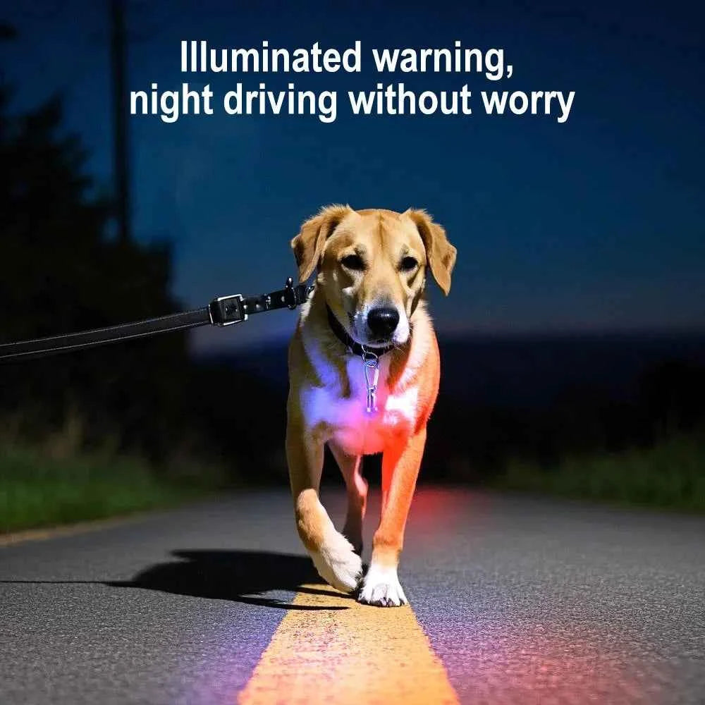 1pc LED Light Up Dog Tag for Night Glowing Pet Collar Accessories Pendant Flashing Collars Dog Luminous Necklace Puppy